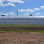 Теплица "Компакт" с пк тепличный 4мм 2*8м