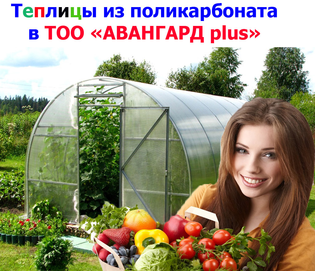 теплица из поликарбоната