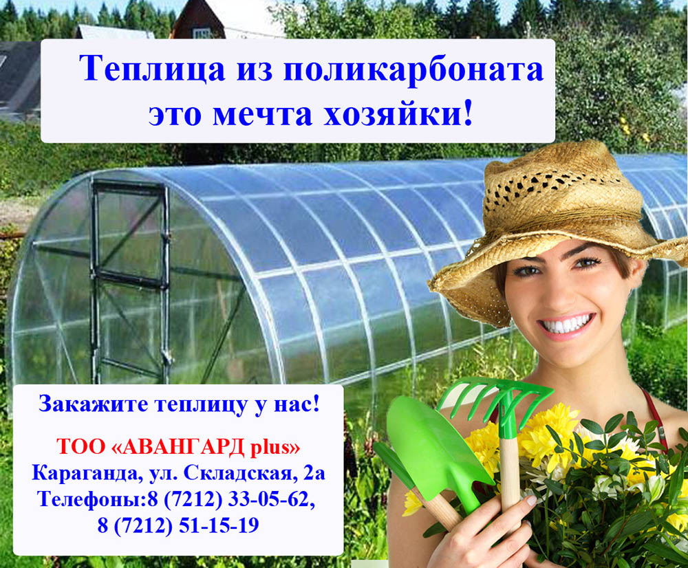 теплица расположена на севере